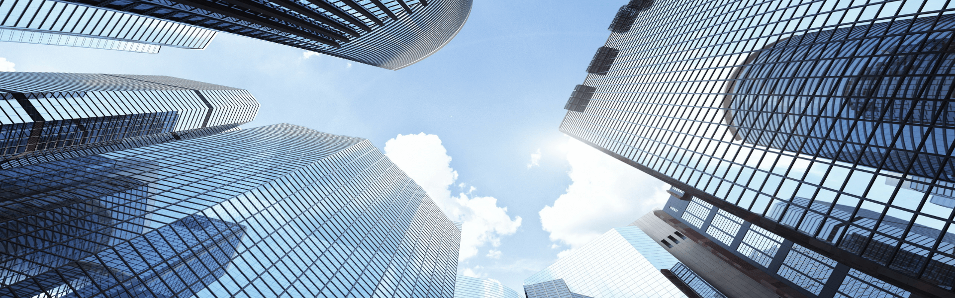 organizational structure