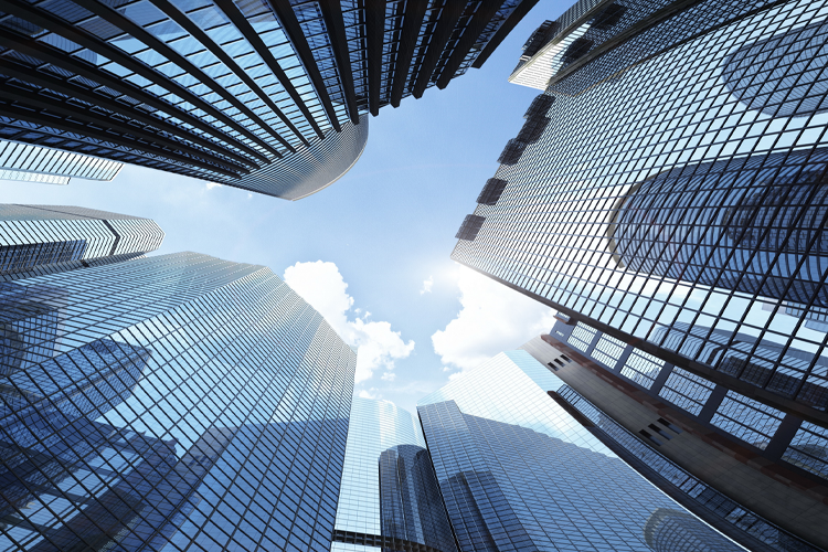 organizational structure